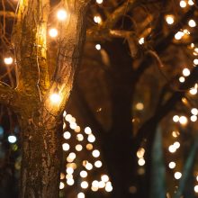 Kalėdinės dekoracijos jau papuošė Kauną: šventinę šviesą skleis ir naujos lemputės
