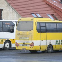 Aiškinsis, kaip įgyvendinama susisiekimo autobusais reforma