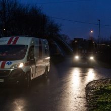 Kas pavertė Kleboniškio mišką sprogdinimų poligonu?