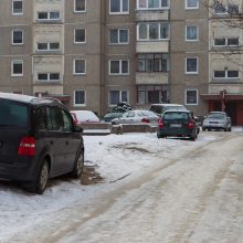 Taip automobilį statote bei problemos nematote ir jūs? Policija turi blogų žinių