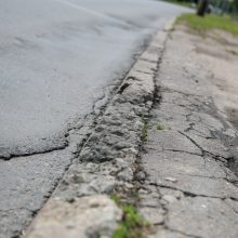 Beda pirštu į Dainavos rajono piktžaizdes: jau darosi nebejuokinga