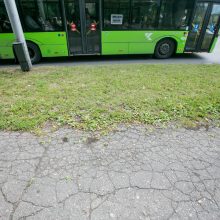 Beda pirštu į Dainavos rajono piktžaizdes: jau darosi nebejuokinga