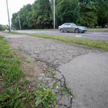 Beda pirštu į Dainavos rajono piktžaizdes: jau darosi nebejuokinga