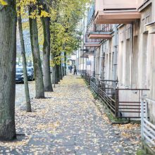 Beda pirštu į lapais nuklotas Kauno gatves: tikrų tikriausia čiuožykla!