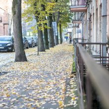 Beda pirštu į lapais nuklotas Kauno gatves: tikrų tikriausia čiuožykla!