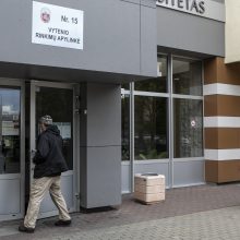 Naujausia informacija: iš viso balsavo jau trečdalis rinkėjų, VRK gavo 30 skundų