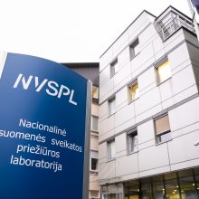 Tyrimas dėl NVSPL direktoriaus pavaduotojos R. M. Balčienės stringa: esu nedarbingume