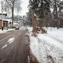 Autobusas Vičiūnuose nulaužė pušį, ši virsdama nutraukė elektros laidus