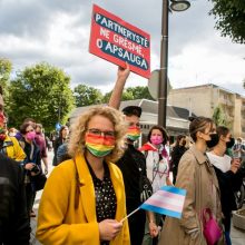 Bandys įtikinti aršiausius Partnerystės įstatymo kritikus: mokslinį tyrimą įteikė Seimo nariams