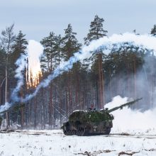 Alytaus ir Lazdijų rajonų miškuose vyks kariuomenės pratybos