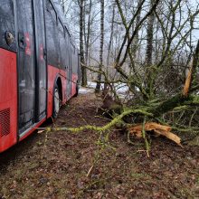 Per plauką nuo tragedijos: autobuso vairuotojas prarado sąmonę ties posūkiu, kur jo laukė keleiviai