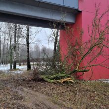 Per plauką nuo tragedijos: autobuso vairuotojas prarado sąmonę ties posūkiu, kur jo laukė keleiviai