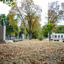 Didmaišius lapams išbandę gyventojai: pasiteisino, tai – išsigelbėjimas rudenį