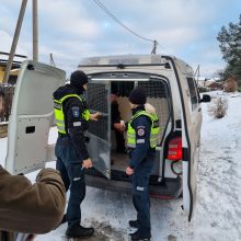 Drama Karmėlavos pušyne tęsiasi: ekskavatorium bandė mus nustumti