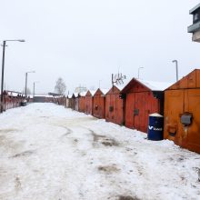 R. Požėla – apie įtariamą mergaitės pagrobėją: baustas už medžių kirtimus, konfliktus su kaimynais