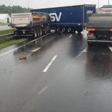 Islandijos plente susidūrė „Autokaustos“ sunkvežimis ir vilkikas: stringa eismas