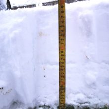 Orų išdaigos nesiliaus: 23 cm sniego pusnys – ne riba?