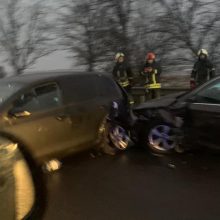 Slidus rytas: per du susidūrimus ties Rumšiškėmis nukentėjo ne tik 14 automobilių, bet ir žmonės