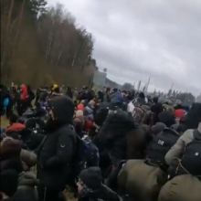 Drama tęsiasi: nepasiekę sienos su Lenkija migrantai pasuko į mišką