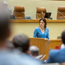 Seimo vadovė: dalis opozicijos politikų buvo įtraukti į Kremliaus propagandą