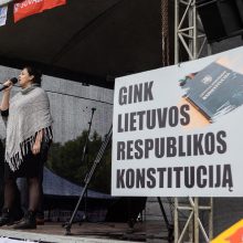 V. Čmilytė-Nielsen apie Šeimų sąjūdžio mitingą: tai – neskaitlingos visuomenės grupės nuomonė