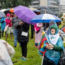 V. Čmilytė-Nielsen apie Šeimų sąjūdžio mitingą: tai – neskaitlingos visuomenės grupės nuomonė