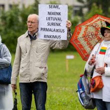 V. Čmilytė-Nielsen apie Šeimų sąjūdžio mitingą: tai – neskaitlingos visuomenės grupės nuomonė