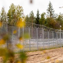 Pasienyje su Baltarusija apgręžti penki neteisėti migrantai