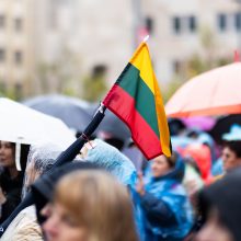 Proteste Vilniuje – reikalavimai palikti J. Krikštaponio paminklą, įamžinti A. Smetoną