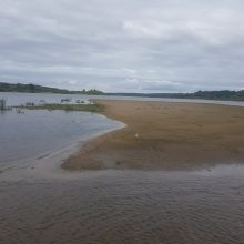 Prabilo kinologas: kaip buvo rastas Nemune nuskendęs paauglys?