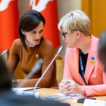 Tryliktasis Seimas mini pusiaukelę: kaip sekasi valdyti krizes?