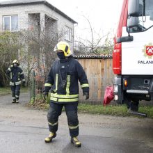 Kretingos ir Klaipėdos rajonuose – dvi tragiškos žūtys