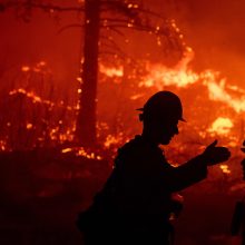 Žuvusių per miško gaisrą Kalifornijoje skaičius didėja – artėja prie 80