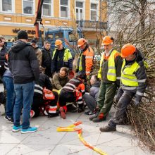 Laisvės alėjoje ant darbininko nuvirto liepa: naujausia informacija iš VDI