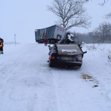 Alytaus rajone su vilkiku susidūrusio automobilio vairuotojas žuvo, moteris komoje