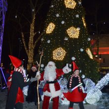 Palangoje įžiebta žaliaskarė: teprasideda spindinčios Kalėdos