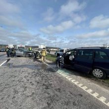 Šokiruojanti kaktomuša ant Lampėdžių tilto: garbaus amžiaus vilnietis pasiklydo pakaunėje?