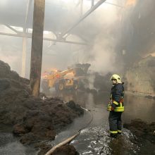 Aplinkosaugininkai su Alytaus valdžia rengia susitikimą dėl degusios „Ekologistikos“