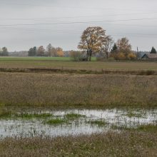 Akmenės pasėlių lauke – kraupus radinys