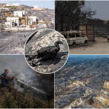 Naujausia žinia iš gaisrų nualintos Graikijos: stiprus vėjas vis dar kelia grėsmę