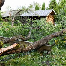 Ugniagesiai toliau šalina audros padarinius – daugiausiai problemų kelia nuvirtę medžiai