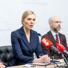 A. Bilotaitė: verslas galėtų padėti valstybei įrengti priedangas