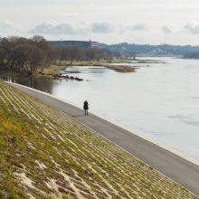 Nemuno krantinėje apšvietimo nebus?