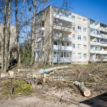 Ištiko šokas: V. Krėvės prospekte iškirto visą eilę medžių