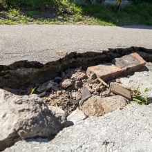 Gyventojai stveriasi už galvų: į namus – slenkančia gatve