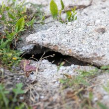 Gyventojai stveriasi už galvų: į namus – slenkančia gatve