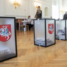 Dilema: ką daryti, kad rinkimai nebūtų dzin