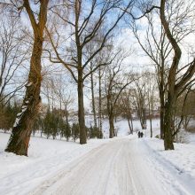 Nuspręsta: Kaunas perima Linkuvos dvarą