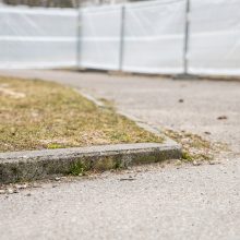 Kauniečiai atkreipė dėmesį: Santakos parke tuoj vėl karaliaus darbininkai