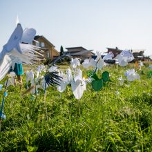 Nors Romainiai sparčiai plečiasi, šeimos su vaikais naujos mokyklos nesulauks